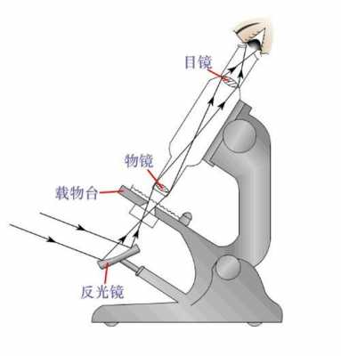 光学仪器的作用 光学仪器简单制作过程图