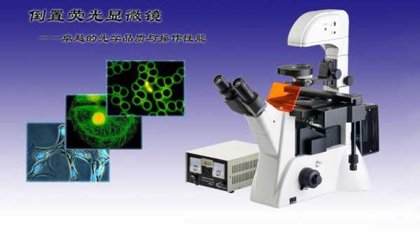  光学仪器的新进展「光学仪器的作用」