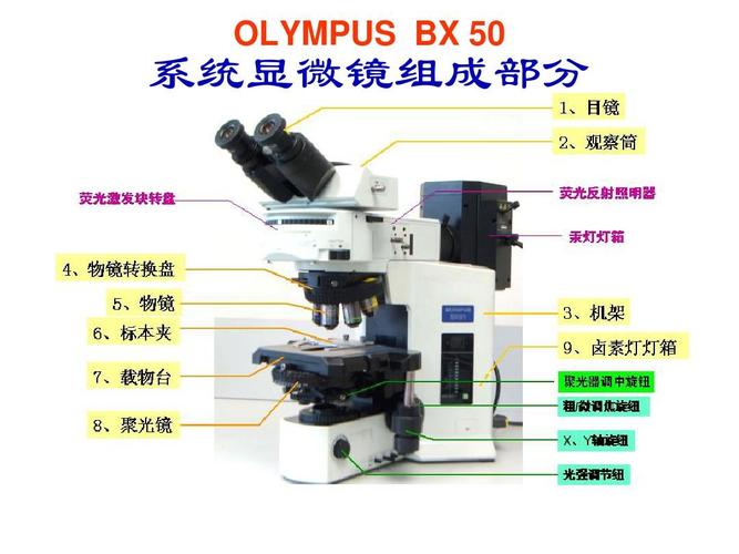 光学仪器有哪五部分组成（光学仪器的三个基本的组成部分及其作用）