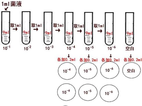 细菌计数光学仪器是什么,细菌计数原理 