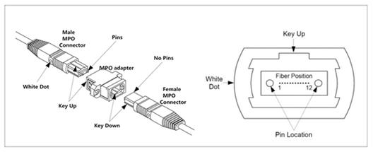 mpo光纤连接器结构图_mpo接口光模块
