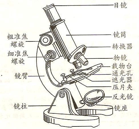 光学仪器基本组成是什么